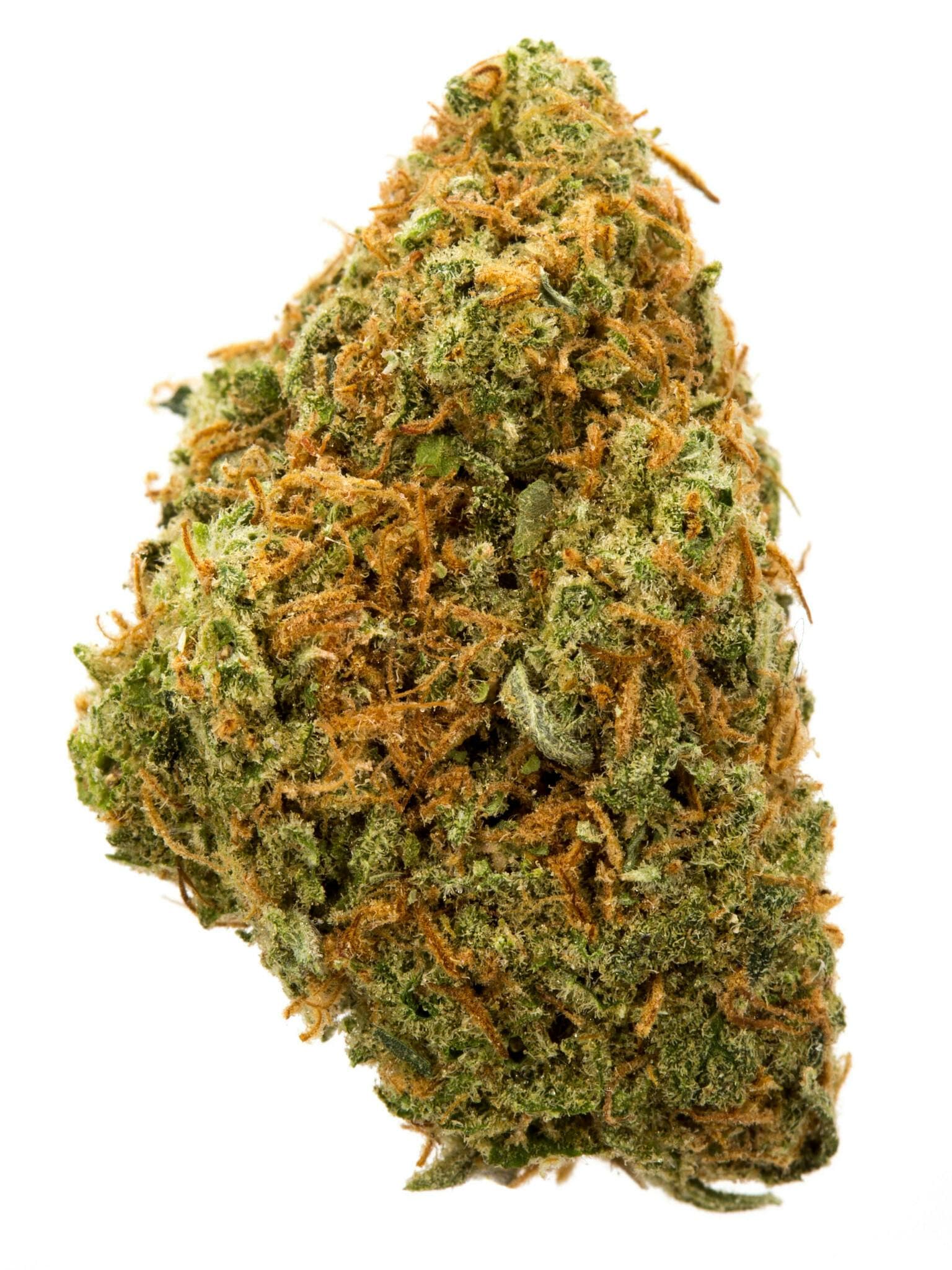 Fort lauderdale weed delivery Guide for First-Time Customers